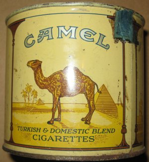 camel2.jpg