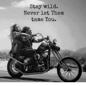 stay-wild-never-let-them-tame-you-5248439.png