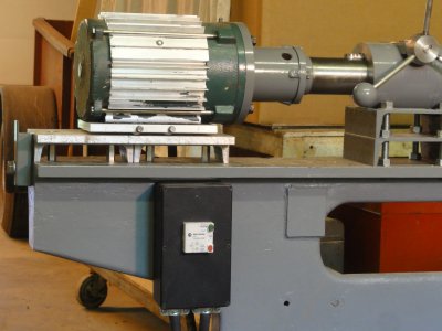 timber borer 3f.jpg