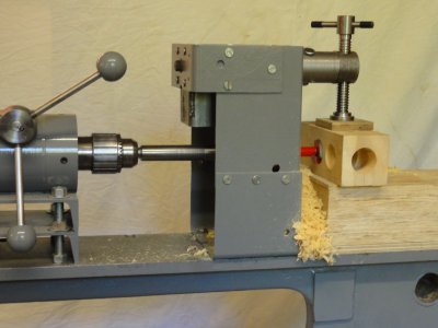 timber borer 3r.jpg