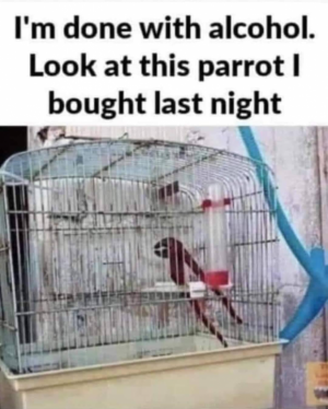 parrot.png