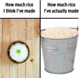 rice.jpeg