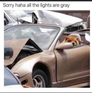 gray.jpeg