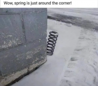 spring.png