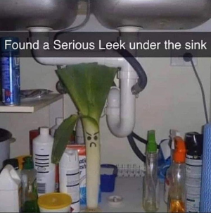 leek.png