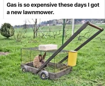 new lawn mower.jpg