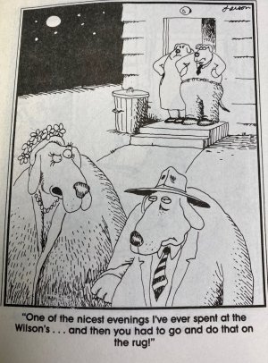 far side.jpg