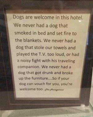 Dogs are Welcome.jpg