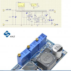 2596 Module Ckt Dia.JPG