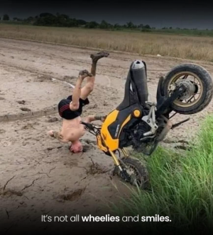 wheelies.png