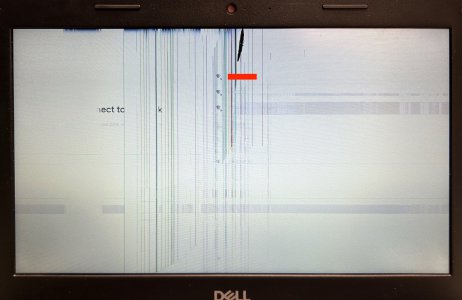 Dell 3100 Screen Before Redacted.jpeg