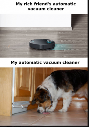 auto vacuum.png