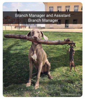 branch manager and asst.png