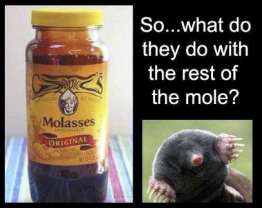 mole.png