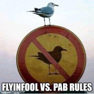 flyinfool.jpg