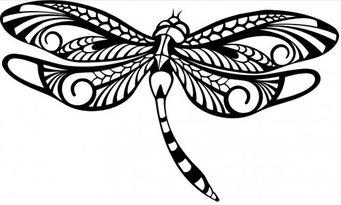 Dragonfly.JPG