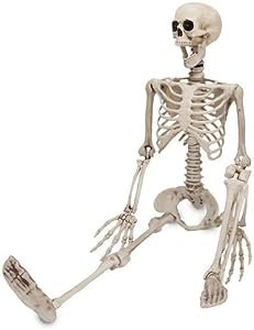 skeleton.jpg