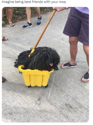 mop friend.png