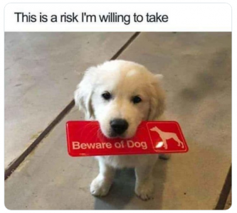 dog risk.png