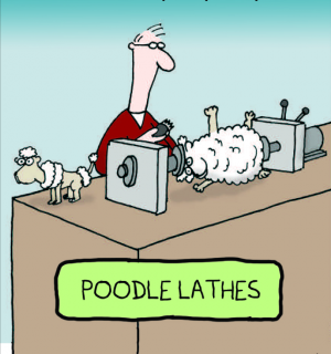 poodle lathe.png