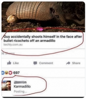 armadillo.png