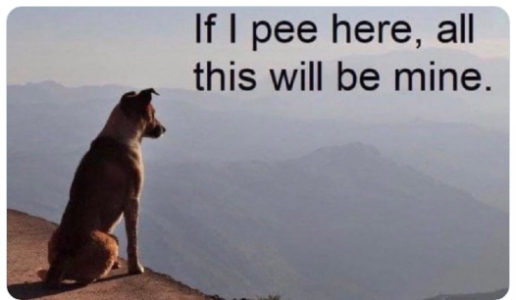 pee.png