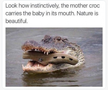 croclet.png