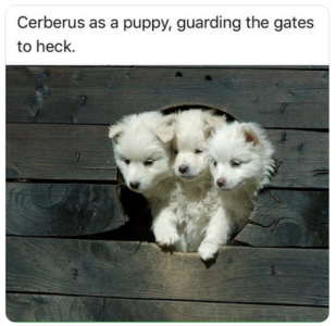 cereberus.png