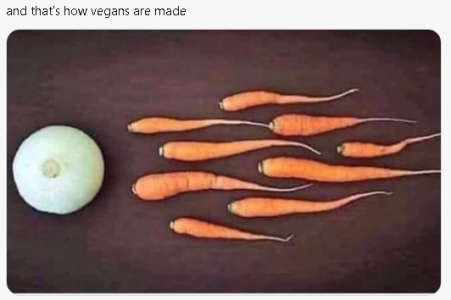 vegans.png