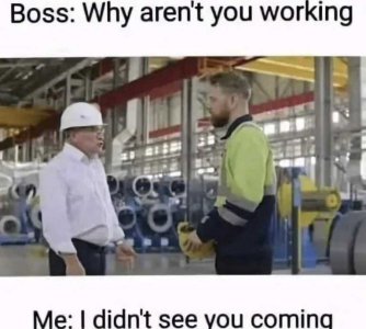 boss.jpeg