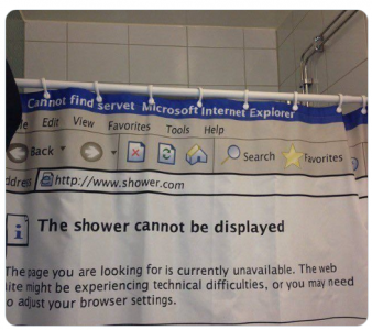 shower curtain.png