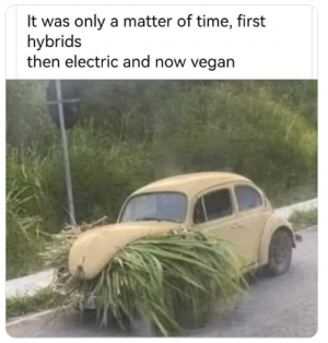 vegan vw.png