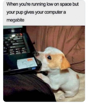 megabyte.png