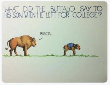 bison.png