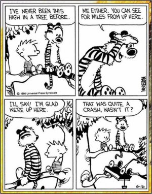 calvin crash.jpg