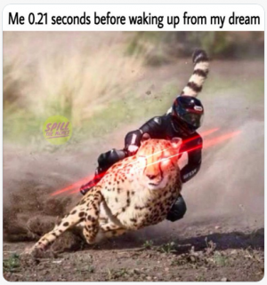 dream.png