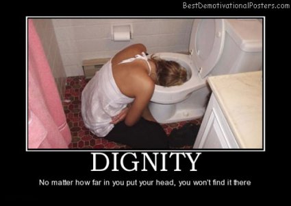 dignity toilet.jpg