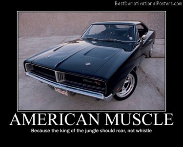 muscle american.jpg