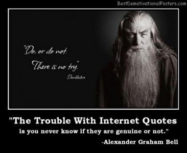 the trouble with internet quotes.jpg