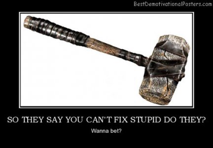 you cant fix stupid.jpg