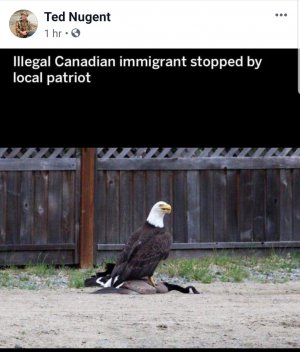 Canadian Immigrant.jpg