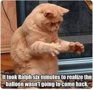 cat balloon.png