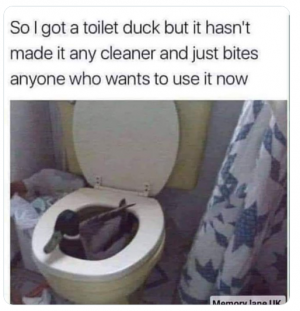 duck.png