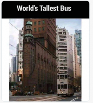 tall bus.png