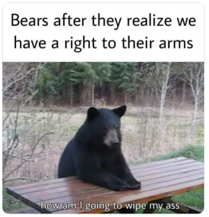 BEAR ARMS.png