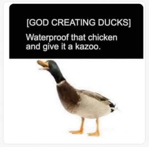 duck.png