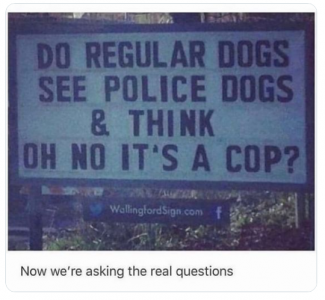 cop dog.png