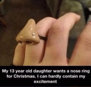 Nose ring.jpg