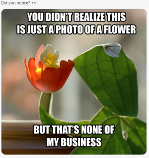 flower.png