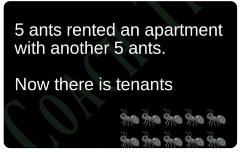 tenants.png